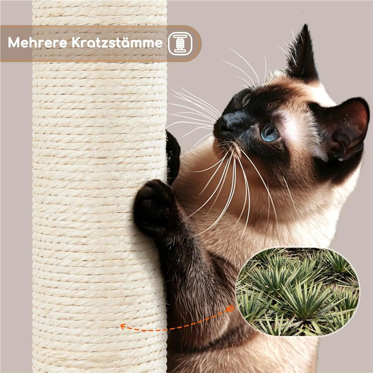 Yaheetech Krabpaal Middelgroot – 43,5 x 43,5 x 106 cm – Voorzien Van Royaal Uitkijkplatform En Hangmat En Kattenmand Met 5 Sisalpalen – Voor Kittens En Middelgrote Katten – Beige Pluche En Spaanplaat