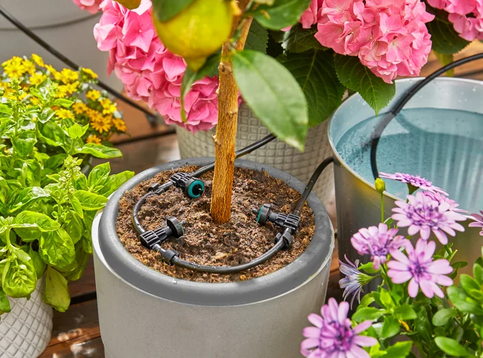 Gardena AquaBloom vakantiebewateringsset - Op zonne-energie - Voor maximaal 20 planten
