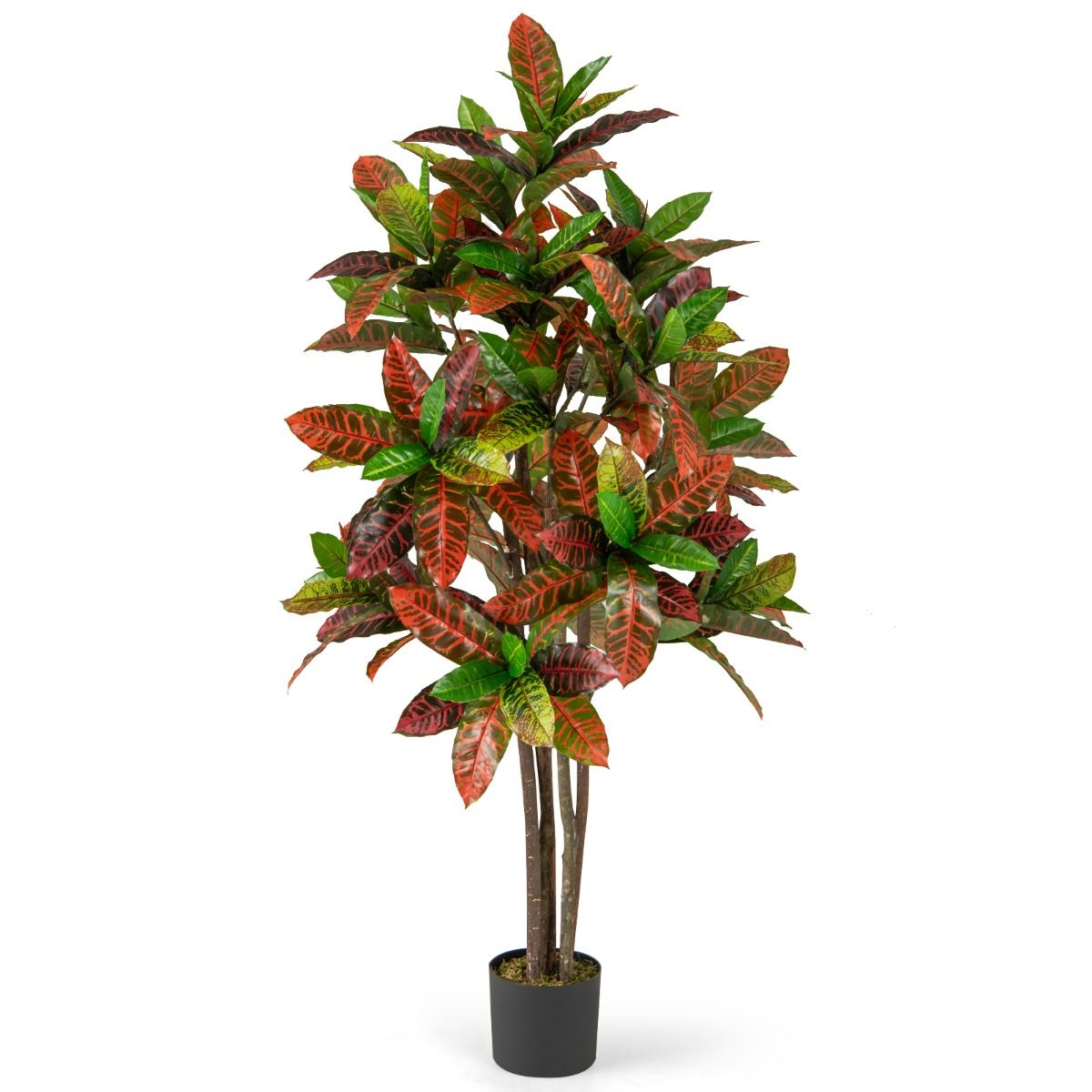 Coast Kunstplant Croton Palmboom - echte houten stam - kleurrijke bladeren - 150 cm