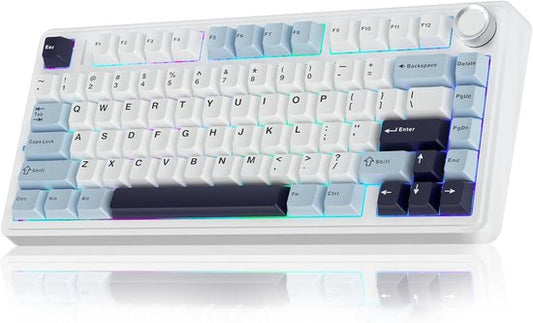 EPOMAKER x AULA F75 - Licht Blauw - Mechanisch Draadloos Toetsenbord - RGB - 75% - Qwerty - Gaming Keyboard - Reaper Switch