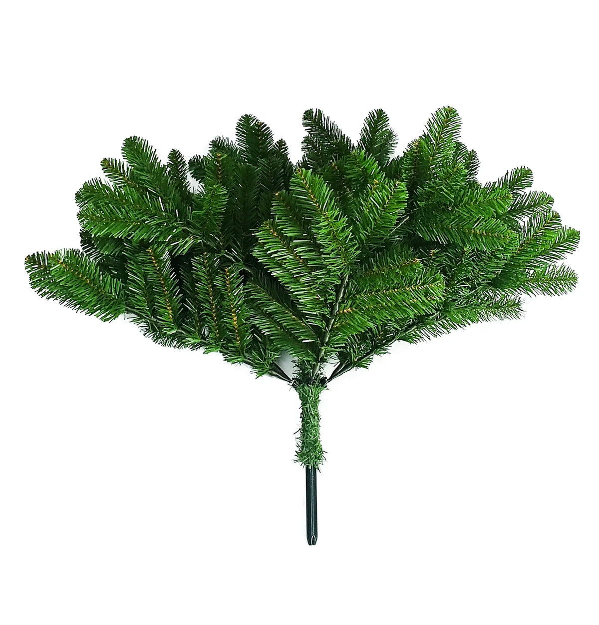Daisy Darcy Kerstboom Mountain Pine - 183 cm - Diameter 101 cm - Groen