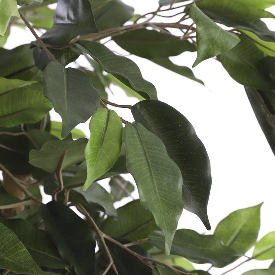 Mica Decorations Ficus Kunstplant - H110 x Ø65 cm - Groen