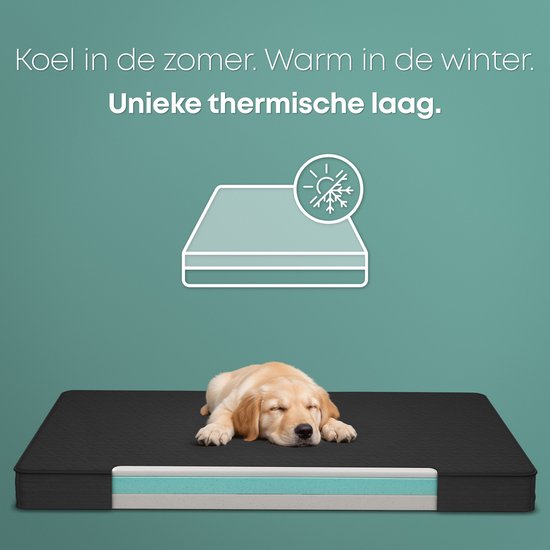 CozySense® Orthopedisch Hondenkussen 60 X 40 Cm – Maat S - Waterdicht – Geschikt Als Benchkussen & Hondenbed - Wasbare Hoes - Zwart