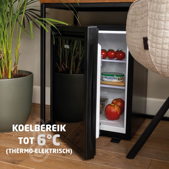 BREND BR-2225 Mini Koelkast Vrijstaand 30 Liter – Tafelmodel Fridge met Instelbare Temperatuur – Minibar met Verstelbare Deurrichting – Zwart