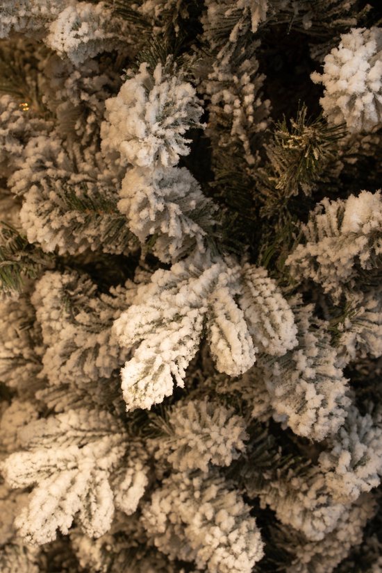Black Box Trees Harma Smalle Kunstkerstboom - H230 x Ø69 cm - Groen Frosted