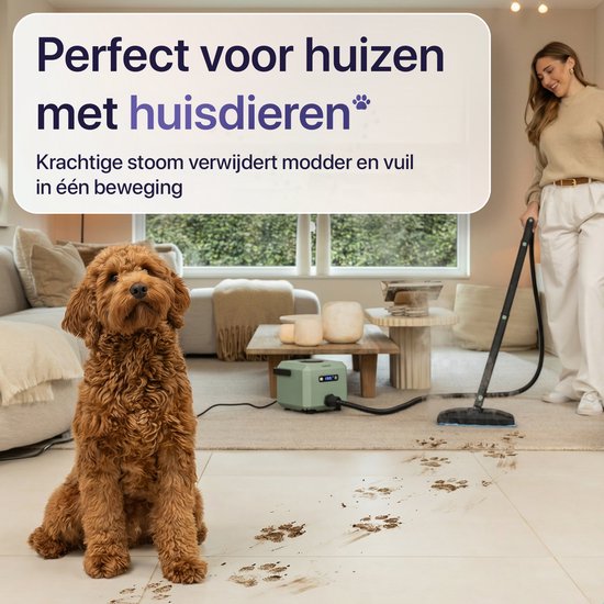 LUMAN Stoomreiniger MAX – 2600W - 60 min Stoomtijd - 2.5L Watertank – Handstoomreiniger & Tapijtreiniger - Groen