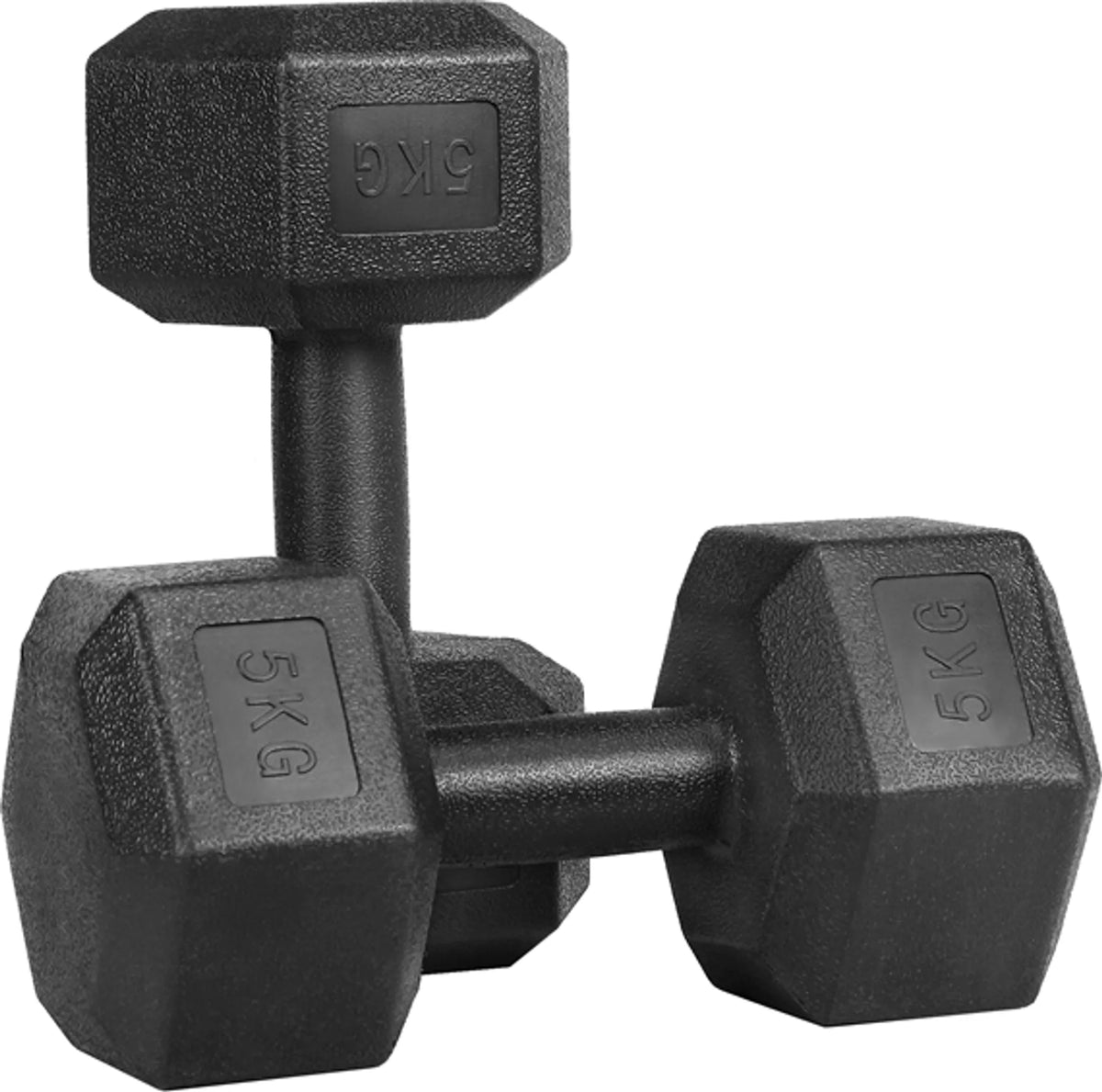 Yaheetech Dumbbells Set Van 2 x 5 kg – Voorzien Van Zeshoekige Kop En Anti-Roll Ontwerp En Kunststof Coating – Voor Krachttraining En Thuisgym – Zwart Kunststof En Beton – 28,5 x 15 x 13 cm