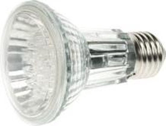 Par20 Led Lamp - 24 Leds - Koud Wit - 6400K