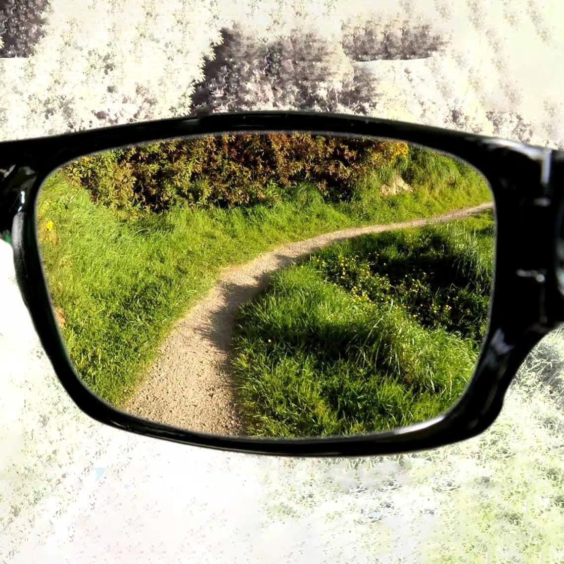 HD Polar View Zonnebril - Geleverd per 3 stuks - Inclusief Accessoires - Gepolariseerd Glas - UV-bescherming