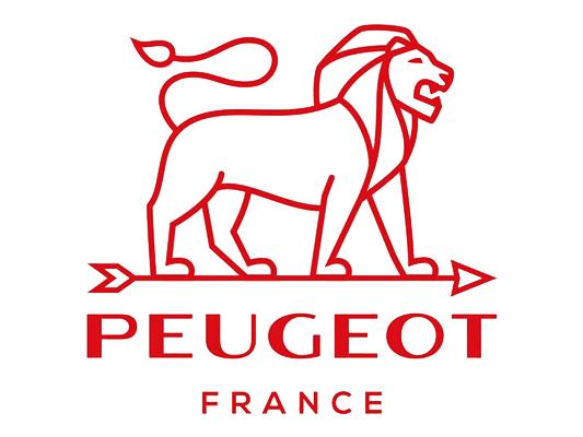 Peugeot Migros Pepermolen Hout - 13 cm - Chocolade
