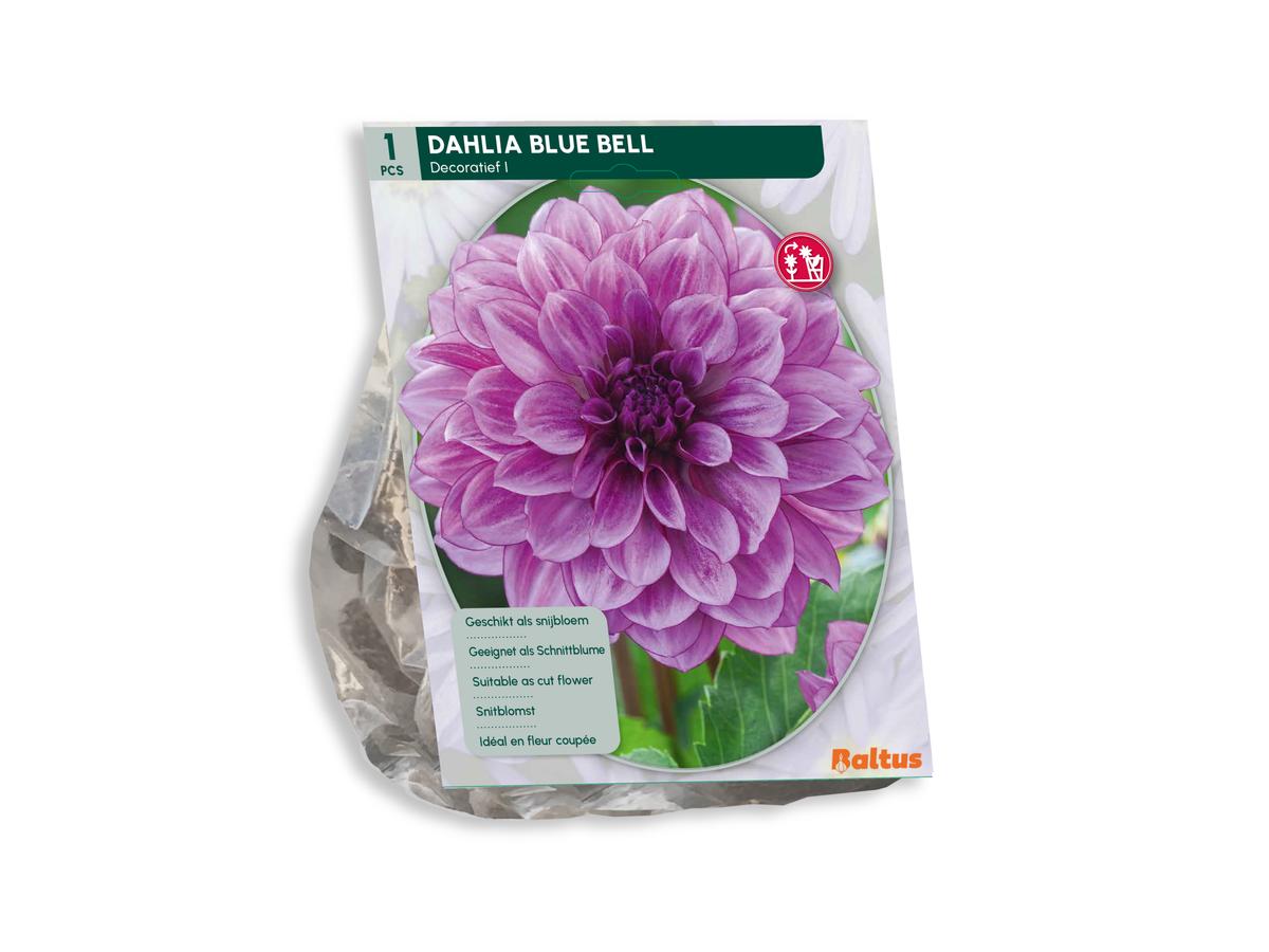 Baltus Bloembollenmix Dahlia Blush - 30 Stuks - Mix van Bloeiende Dahlia's