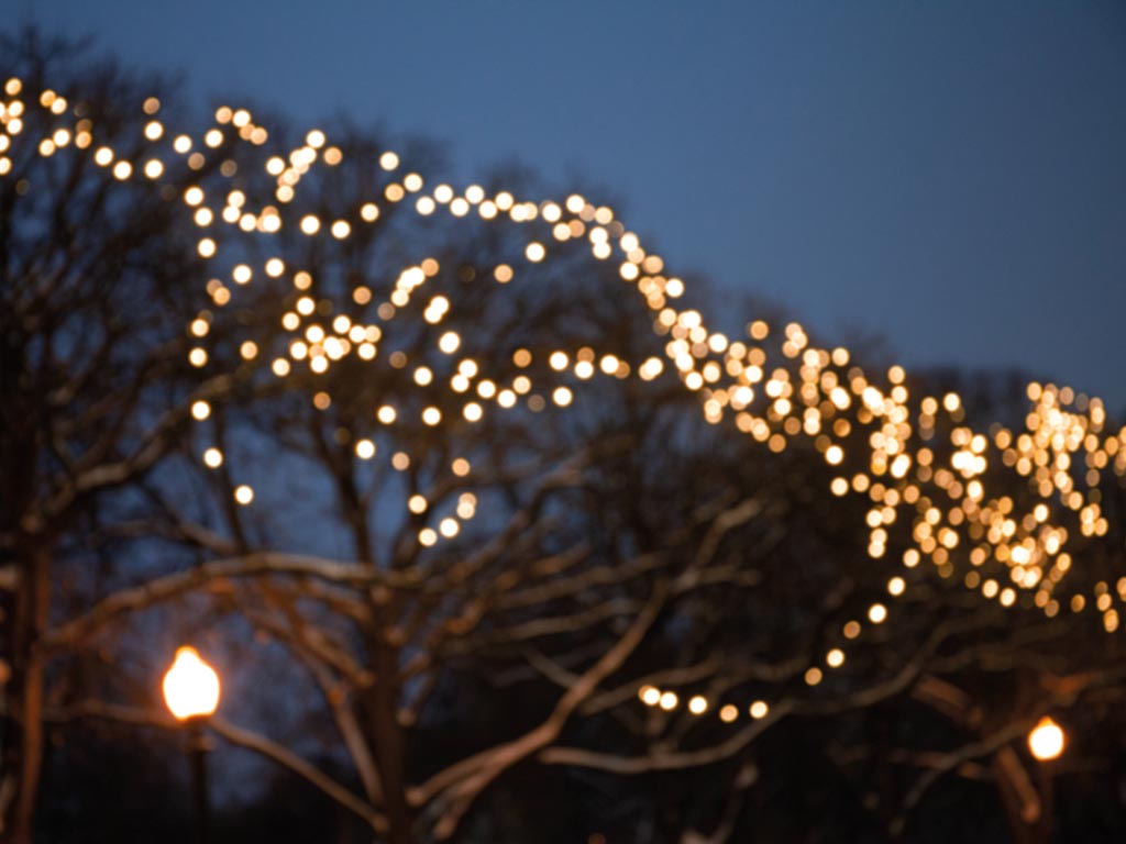 Light Creations Shimmerlight Led-34-1500-24v-aw – Voorzien Van Ingebouwde Modulator Met Acht Animaties En Ip44 Bescherming En Duizendvijfhonderd Leds – Voor Binnen En Buiten – Arizona Wit En Groen Kunststof – Vierendertig Meter