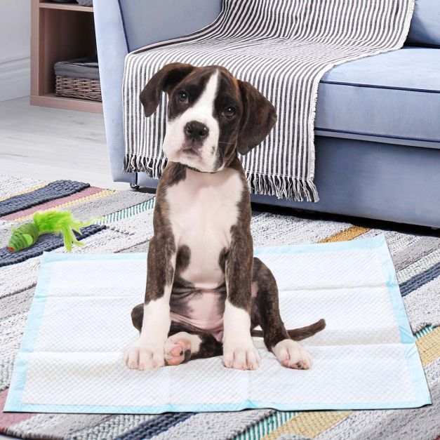 Coast Plasmatten voor Honden -150 Stuks - 5 Laags - Lekvrij - 60 x 90 cm - Wit+Blauw