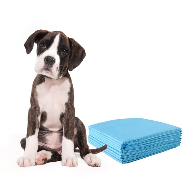 Coast Plasmatten voor Honden -150 Stuks - 5 Laags - Lekvrij - 60 x 90 cm - Wit+Blauw