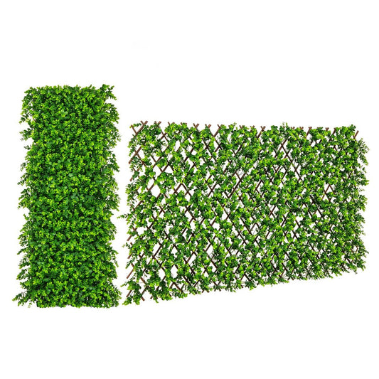 Coast Kunstmatige Klimop Eucalyptus Privacy Scherm – 180 x 90 cm – Groen – Uitschuifbare Tuin- en Balkonomheining van Wilg en PE